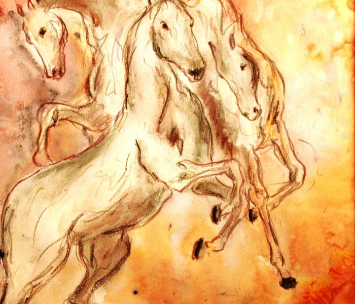 Caroline Degroiselle Danse équestre 3440 Pastel Encre 33x43