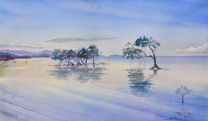 Nicolas Cadic Mangrove Aq